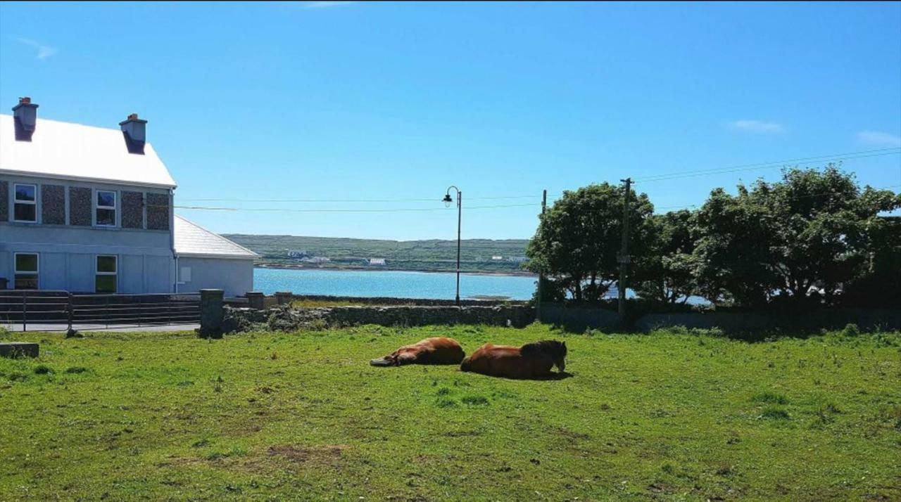 Seacrest B&B Kilronan  ภายนอก รูปภาพ